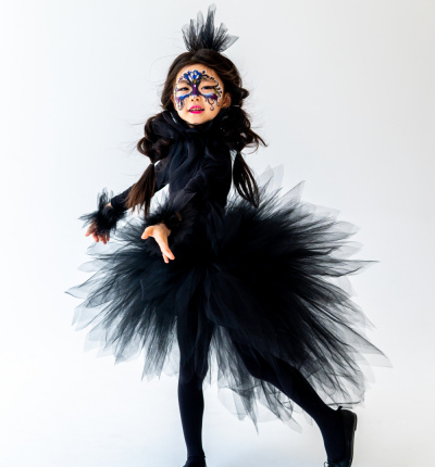 Swan costume